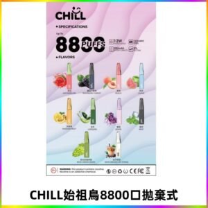 CHILL始祖鳥電子煙鴨嘴獸拋棄式8800口 一次性8ml大容量煙油