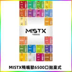 MIST X 鴨嘴獸6500口拋棄式電子煙#台灣現貨#